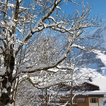 Senggi Adelboden