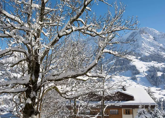 Senggi אדלבודן